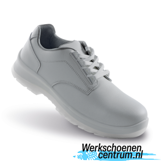 RD13436-WIT