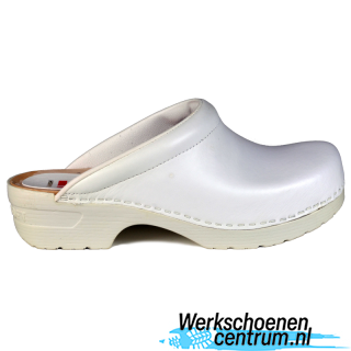 RD23982-WIT
