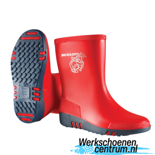 RD31334-ROOD