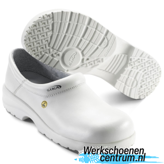 RD41463-WIT