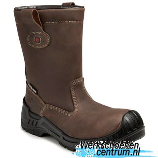 RD58865-BRUIN