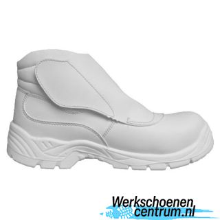 RD61242-WIT