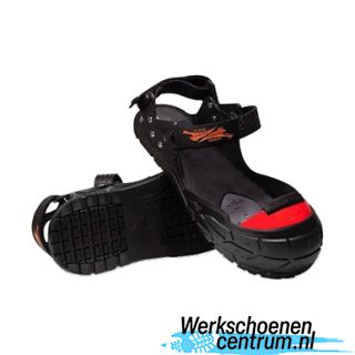 RD62445-ZWART