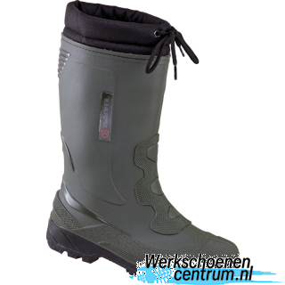 RD66579-GROEN
