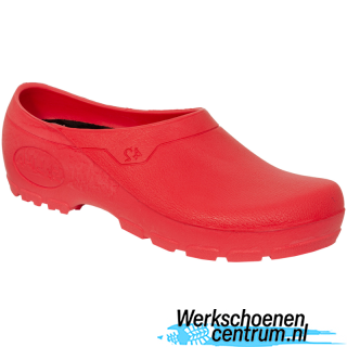 RD70438-ROOD