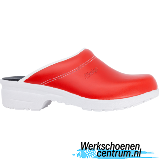 RD72043-ROOD