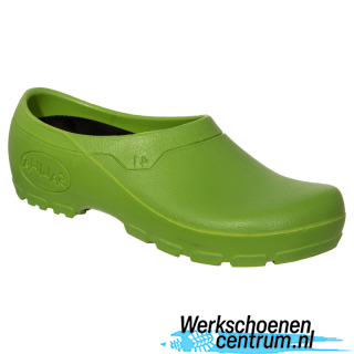 RD90548-LICHTGROEN