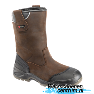 RD97309-BRUIN